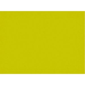 Подтарельники бумажные Duni 35×45 см, 250 штук, киви