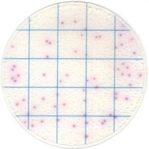 Тест-пластины KangarooSci для определения количества Salmonella, 12шт/уп